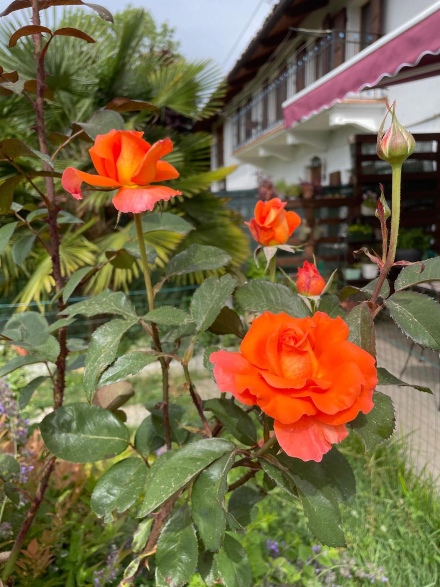 B&B Cascina Dei Levrieri Capriglio Екстериор снимка